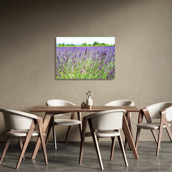 Tablou pe sticlă - Lavandă în câmp (70x50 cm)