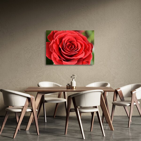 Tablou pe sticlă - Flori de trandafir (70x50 cm)