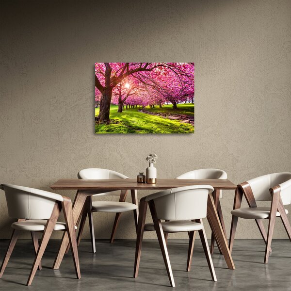 Tablou pe sticlă - Cireși înfloriți, Hurd Park, Dover, New Jersey (70x50 cm)