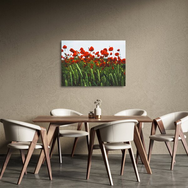 Tablou pe sticlă - Maci în vânt (70x50 cm)