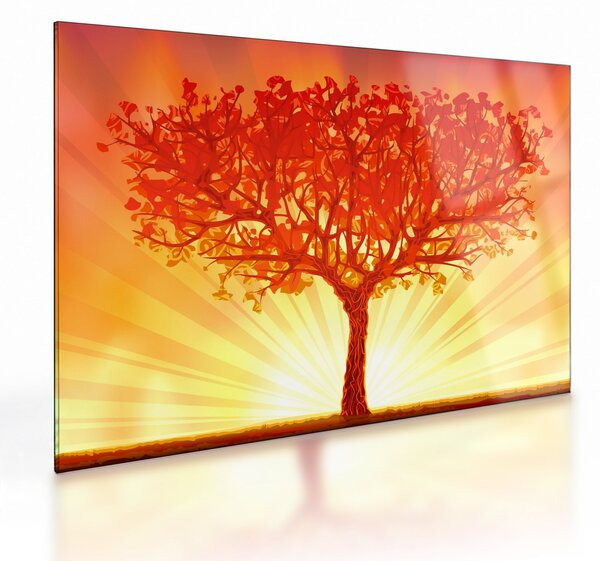 Tablou pe sticlă - Copac în lumina soarelui (70x50 cm)