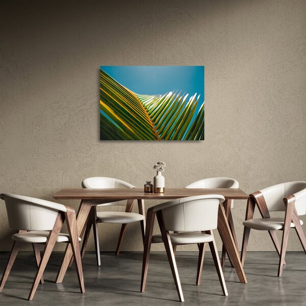 Tablou pe sticlă - Frunze de palmier (70x50 cm)