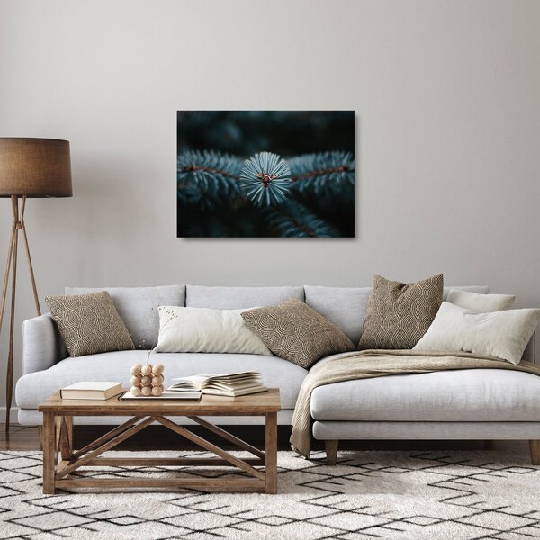 Tablou pe sticlă -Crenguțe ale unui conifer (70x50 cm)