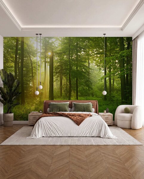 Tapet Liniște în pădurea însorită, Fototapet Natură, u57295 : Uwalls.ro