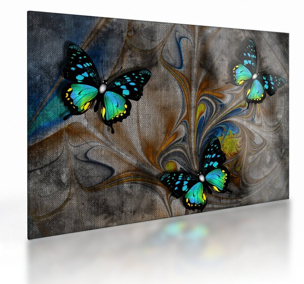 Tablou pe sticlă - Fluturi strălucitori în imagine (70x50 cm)
