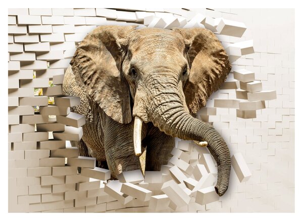 Tablou pe sticlă - Elefant spârgând peretele (70x50 cm)
