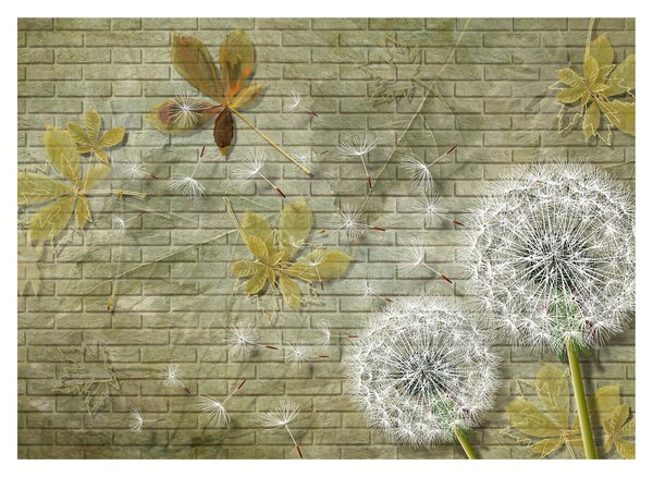 Tablou pe sticlă - Păpădii suflate de vânt (70x50 cm)