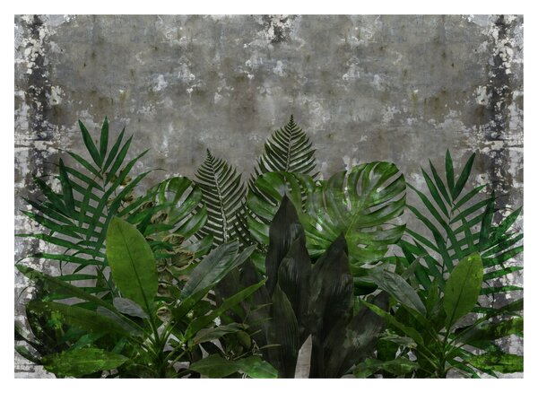 Tablou pe sticlă - Zid de beton cu plante (70x50 cm)