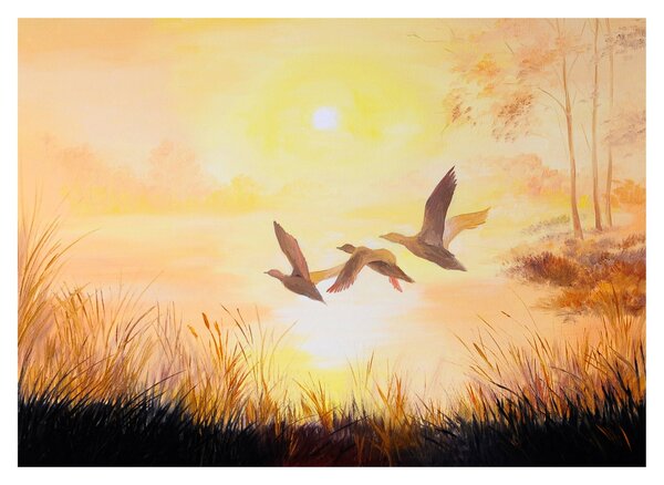 Tablou pe sticlă - Macarale la apus de soare (70x50 cm)
