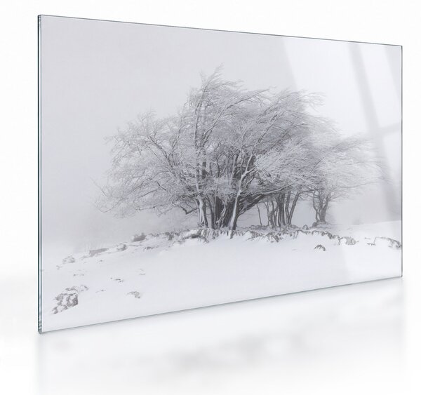 Tablou pe sticlă - Iarnă albă (70x50 cm)
