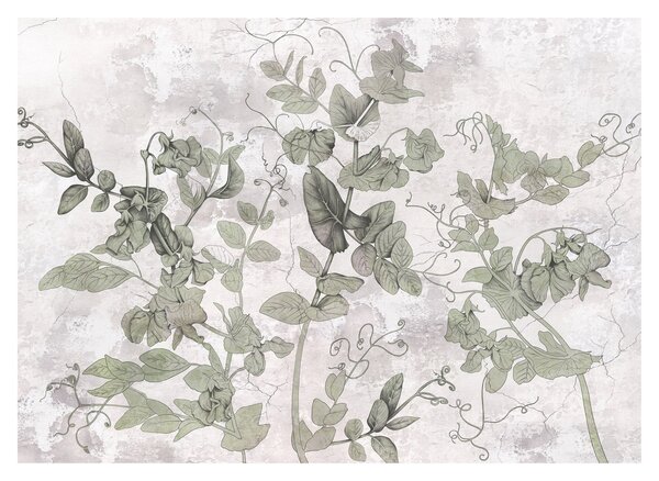 Tablou pe sticlă - Plante in ipsos (70x50 cm)