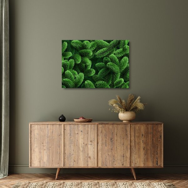 Tablou pe sticlă - Ramuri de conifere (70x50 cm)