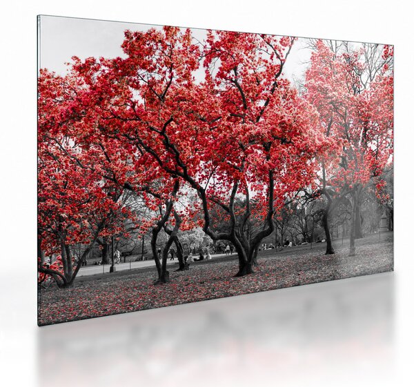 Tablou pe sticlă - Copacii roșii, Central Park, New York (70x50 cm)
