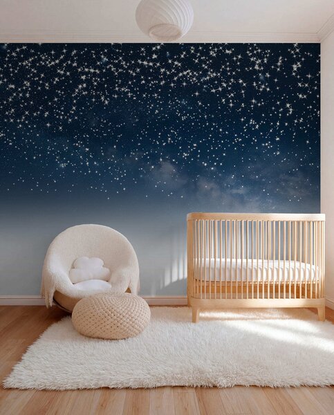 Tapet Cer de noapte înstelat, gradient moale, cosmic, constelații, Fototapet Spaţiu, w01797v1 : Uwalls.ro