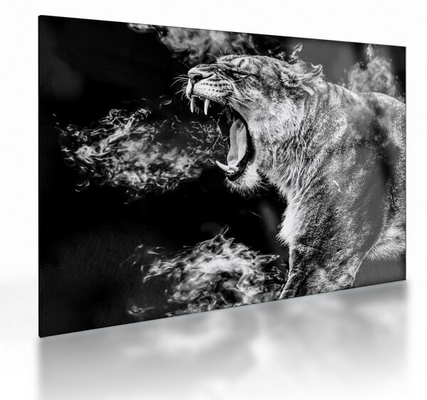 Tablou pe sticlă - Portretul unei leoaice (70x50 cm)