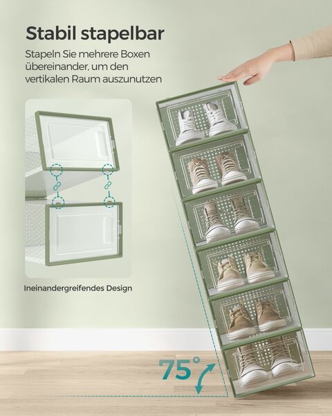 Pantofar plastic Songmics Transparent 33.3x23x14 cm