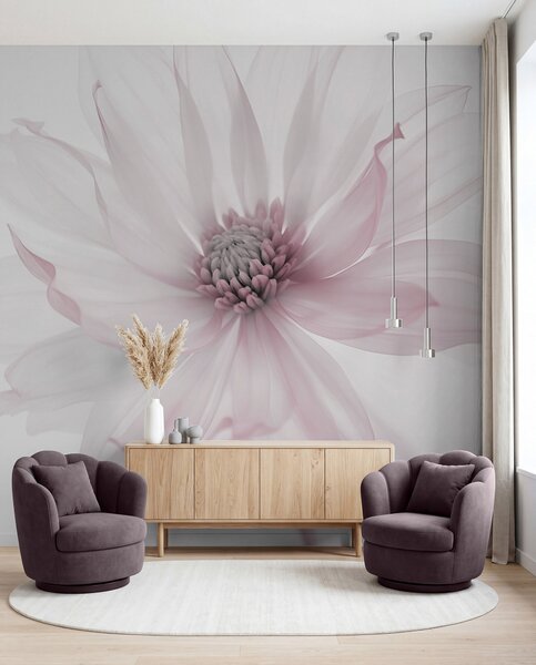 Tapet Delicate flori roz pe fundal luminos, Fototapet Flori, w02077v2 : Uwalls.ro