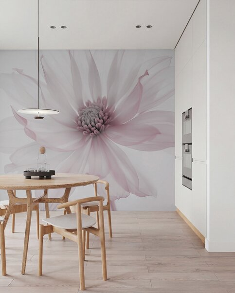 Tapet Delicate flori roz pe fundal luminos, Fototapet Flori, w02077v2 : Uwalls.ro