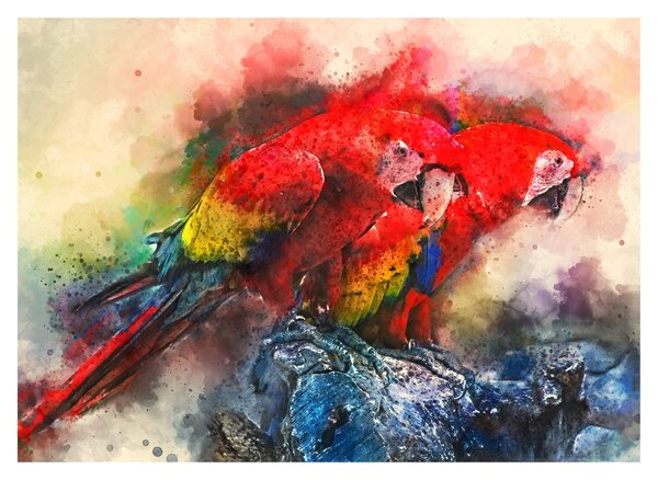 Tablou pe sticlă - Papagali roșii ara (70x50 cm)