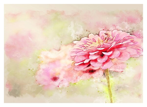 Tablou pe sticlă - Floare roz, aquarel (70x50 cm)