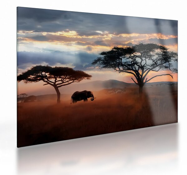 Tablou pe sticlă - Parcul Național Serengeti, Tanzania, Africa (70x50 cm)