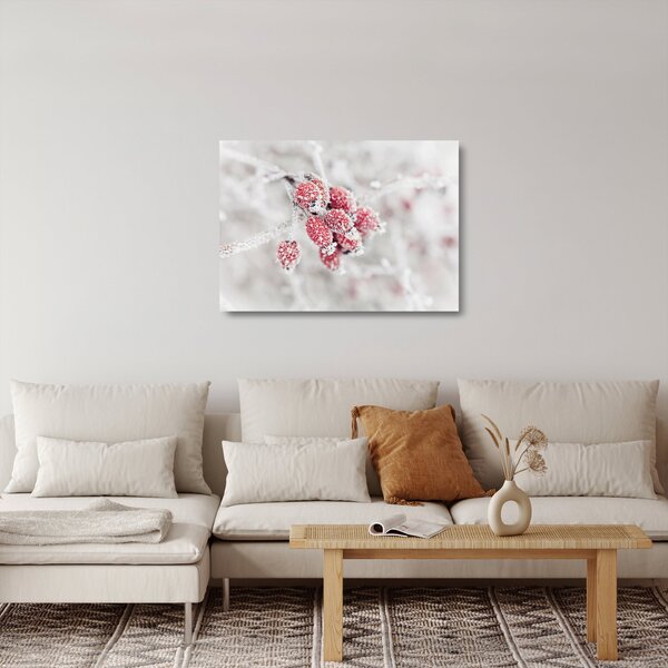 Tablou pe sticlă - Fructe congelate (70x50 cm)