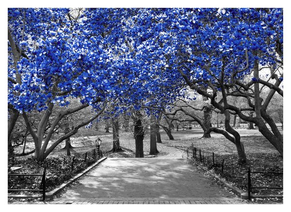 Tablou pe sticlă - Copaci albaștri Central Park, New York (70x50 cm)