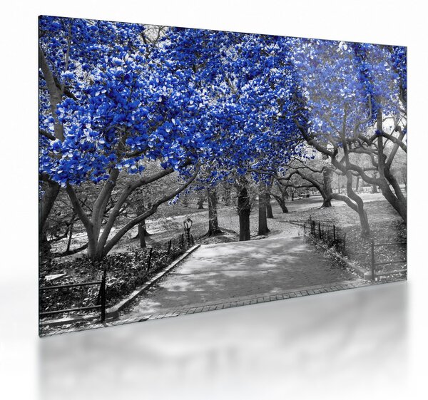 Tablou pe sticlă - Copaci albaștri Central Park, New York (70x50 cm)