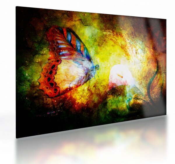 Tablou pe sticlă - Fluture spațial (70x50 cm)