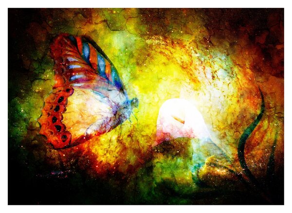 Tablou pe sticlă - Fluture spațial (70x50 cm)