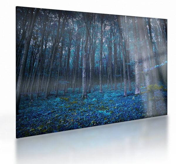 Tablou pe sticlă - Pădurea magică (70x50 cm)