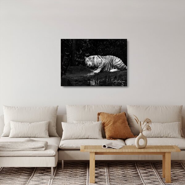 Tablou pe sticlă - Tigru alb, alb-negru (70x50 cm)