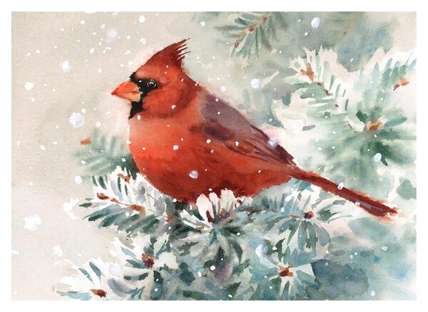 Tablou pe sticlă - Cardinal (70x50 cm)