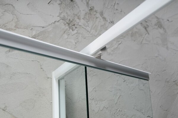 Aqualine Aqualine, usa de dus cu balamale AMICO 1040-1220x1850mm, sticla transparenta, G100