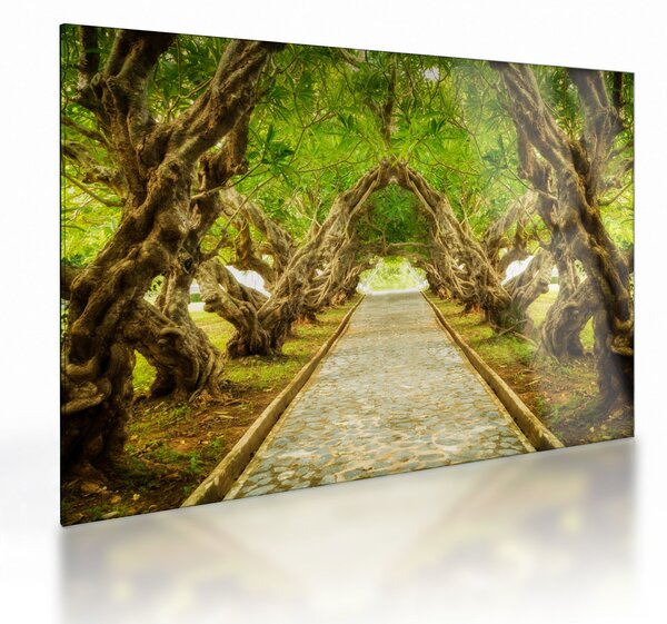 Tablou pe sticlă - Tunel viu din plumeria (70x50 cm)