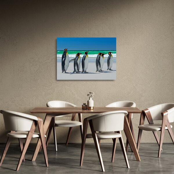 Tablou pe sticlă - Grup de pinguini regali (70x50 cm)
