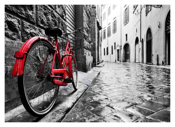 Tablou pe sticlă - Bicicleta roșie pe o stradă pavată (70x50 cm)