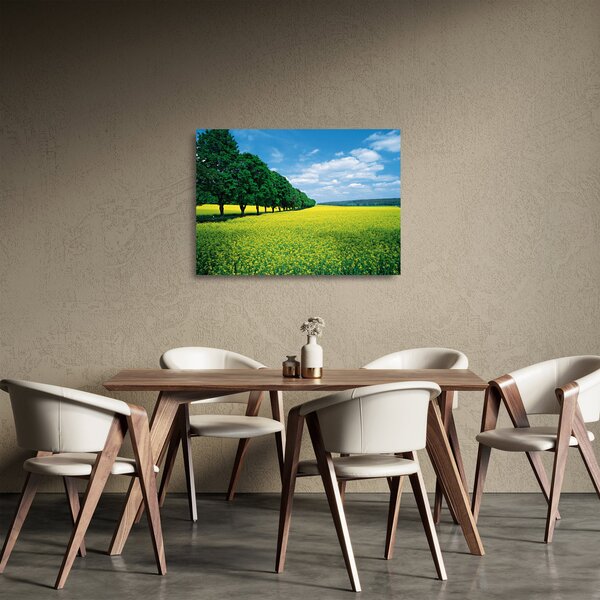 Tablou pe sticlă - Câmp cu alei (70x50 cm)