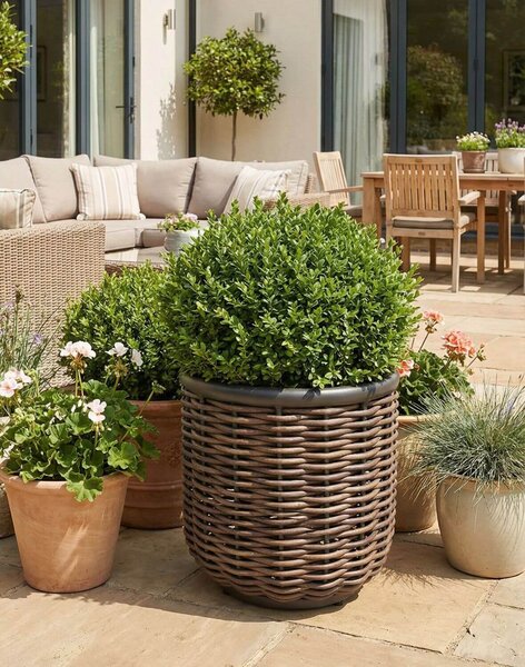 Ghiveci de grădină Borneo, antracit