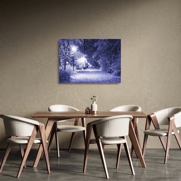 Tablou pe sticlă - Noaptea magică de iarnă (70x50 cm)