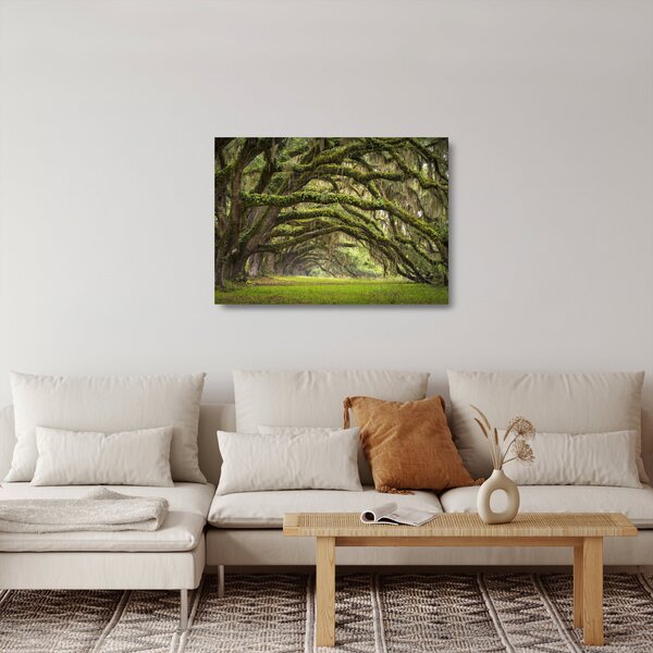 Tablou pe sticlă - Oaks Avenue, Charleston, Carolina de Sud, SUA (70x50 cm)