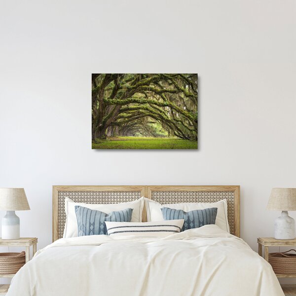 Tablou pe sticlă - Oaks Avenue, Charleston, Carolina de Sud, SUA (70x50 cm)