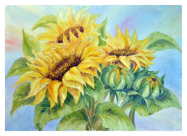 Tablou pe sticlă - Floarea soarelui înflorită (70x50 cm)