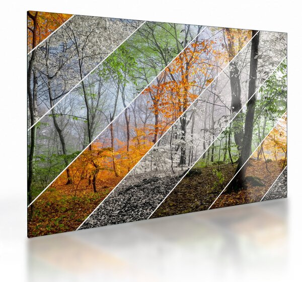 Tablou pe sticlă - Schimbarea anotimpurilor (70x50 cm)