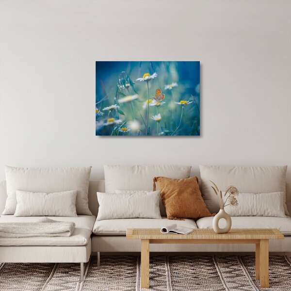 Tablou pe sticlă - Fluture pe margaretă (70x50 cm)