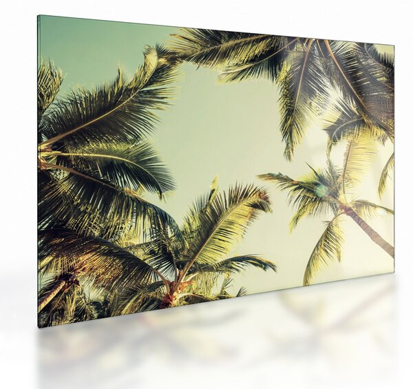 Tablou pe sticlă - Palmieri de cocos (70x50 cm)
