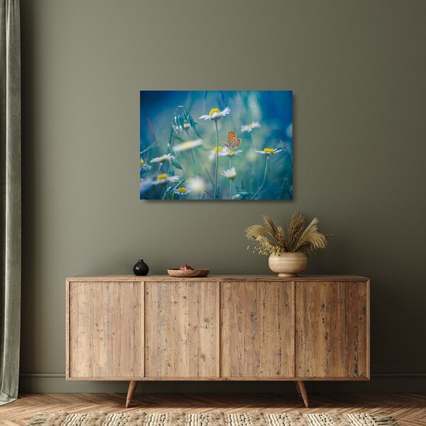 Tablou pe sticlă - Fluture pe margaretă (70x50 cm)