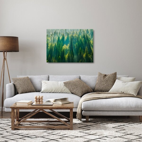 Tablou pe sticlă - Pădurea de brazi (70x50 cm)