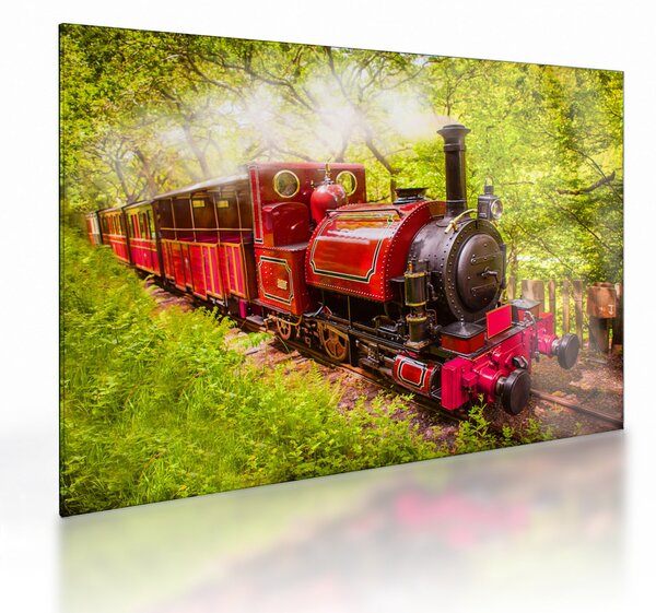 Tablou pe sticlă - Tren cu aburi (70x50 cm)