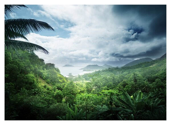 Tablou pe sticlă -Jungla din Seychelles (70x50 cm)